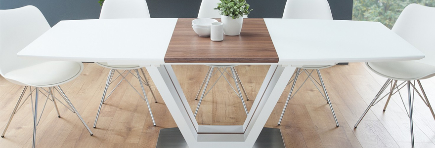 Table extensible